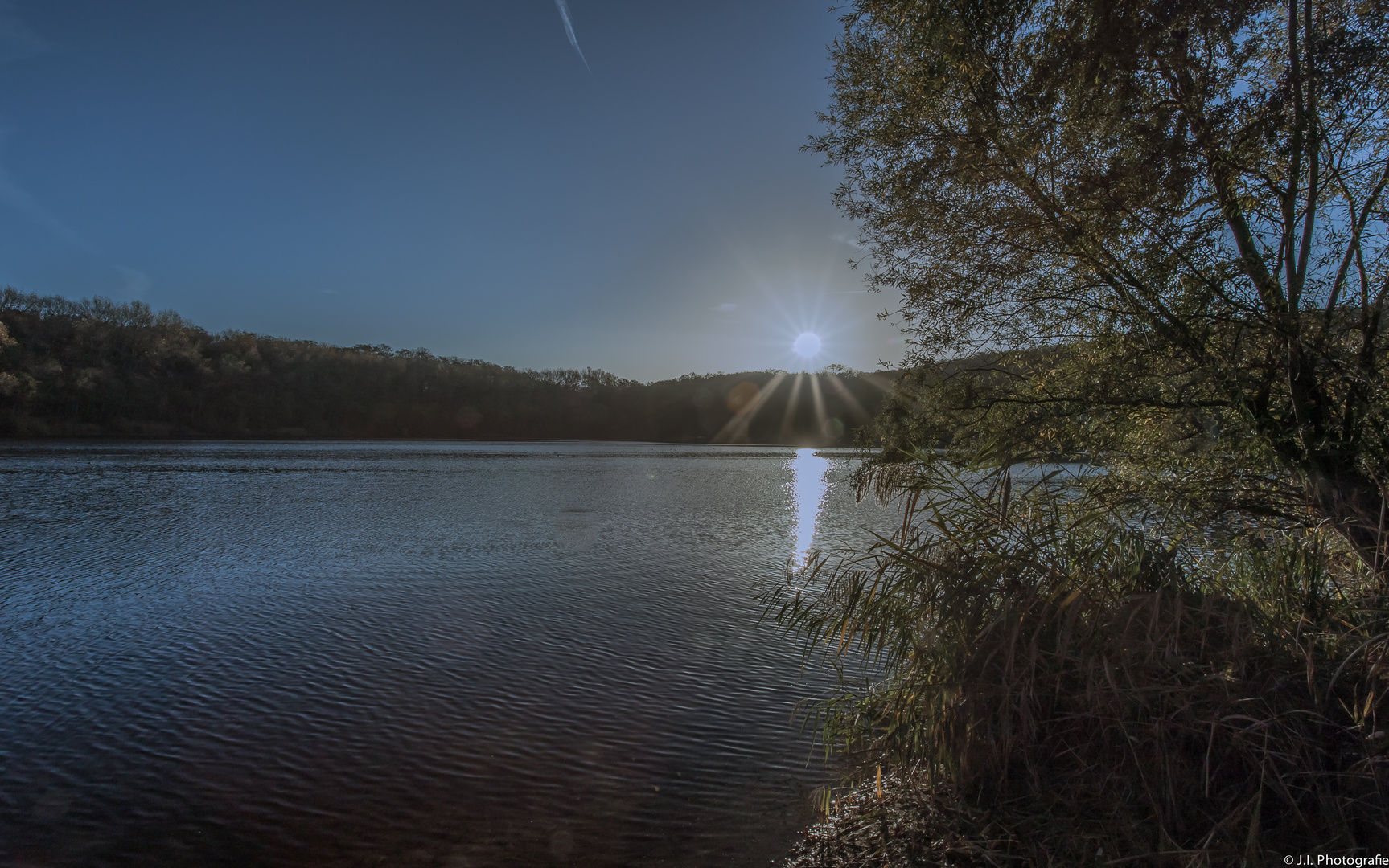 Morgens am Waldsee