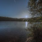 Morgens am Waldsee