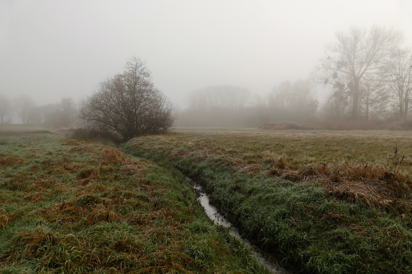 Morgens am Weddelergraben