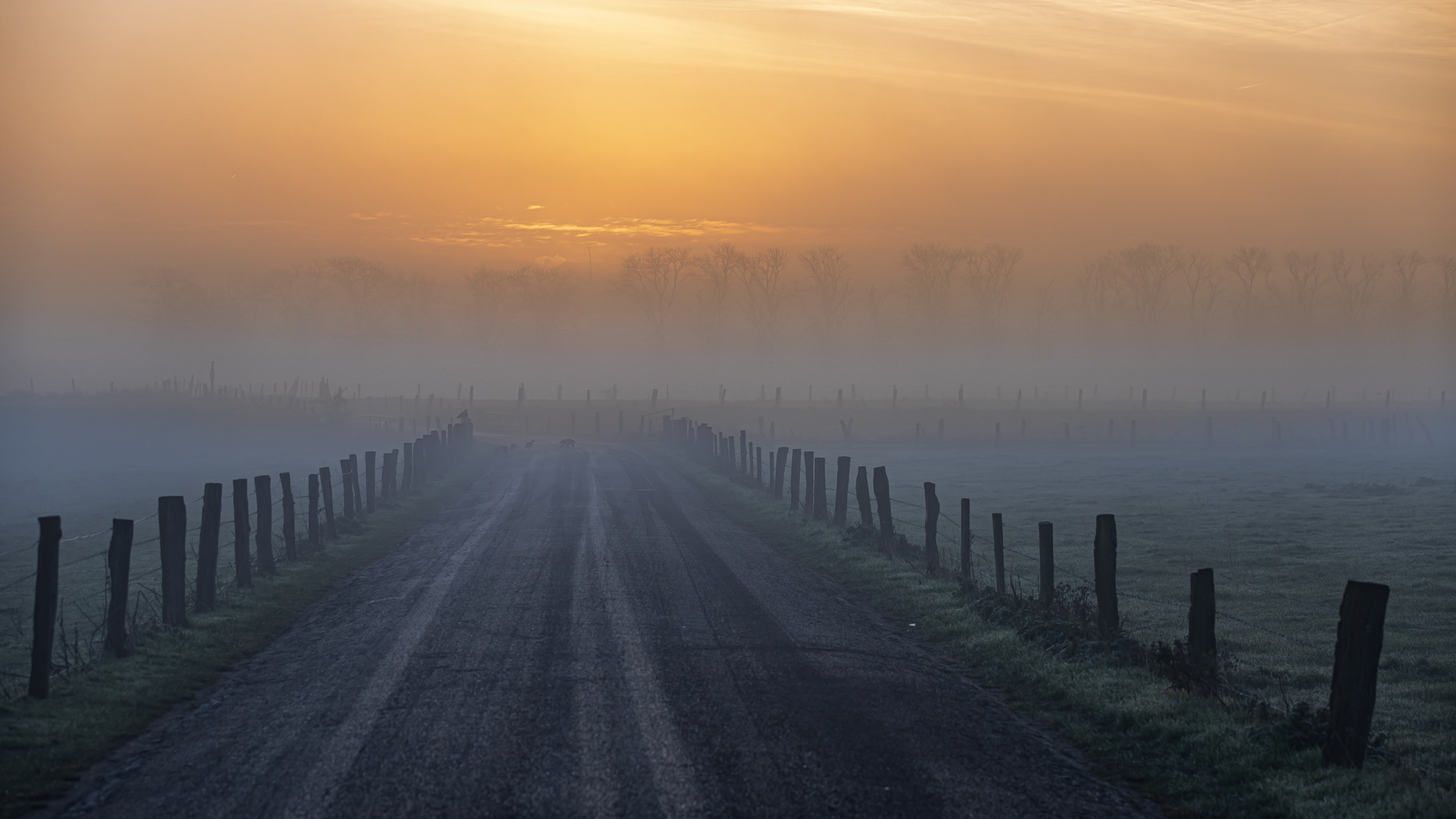 MORGENS AM WEG II