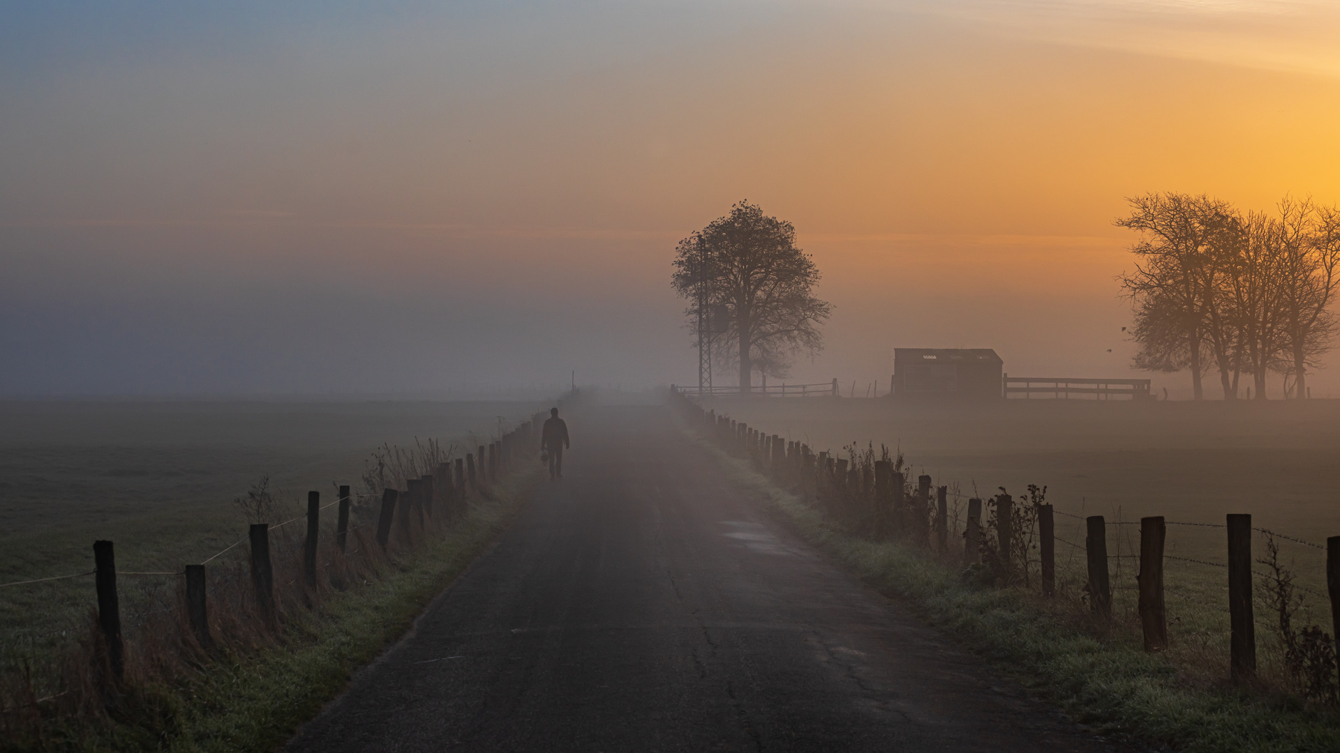 MORGENS AM WEG III