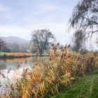 Morgens am Weiher