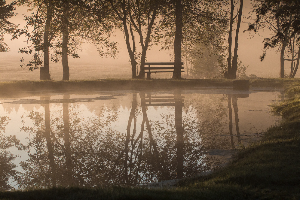 Morgens am Weiher..