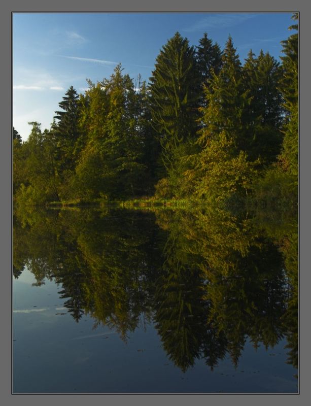 morgens am Weiher