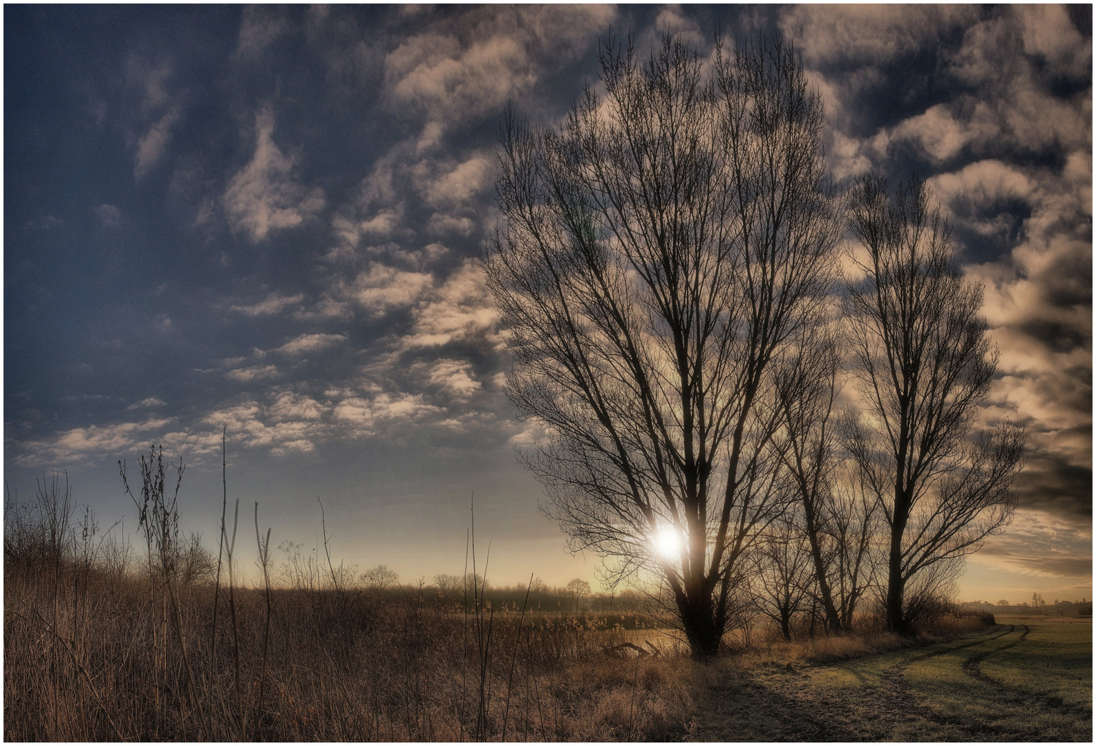 Morgens am Weiher