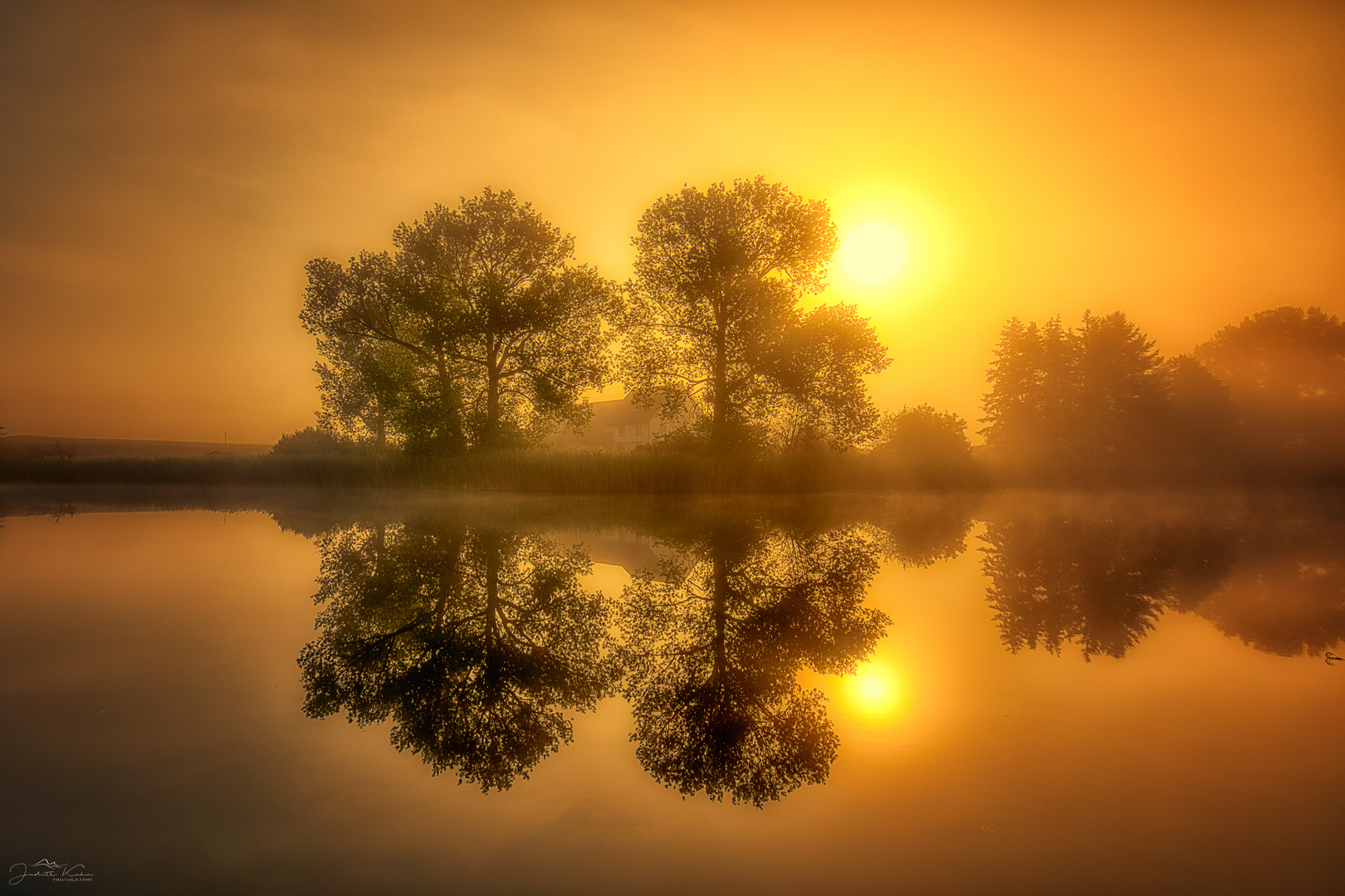 morgens am Weiher