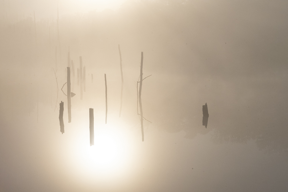 Morgens am Weihnachtssee