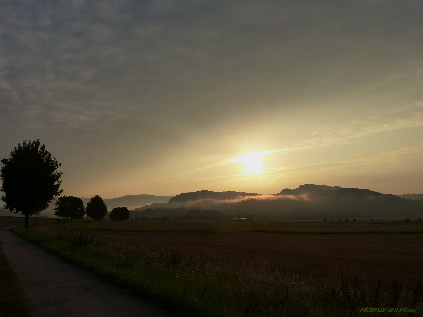 Morgens am Weserradweg-Umgebung Heidbrink Polle