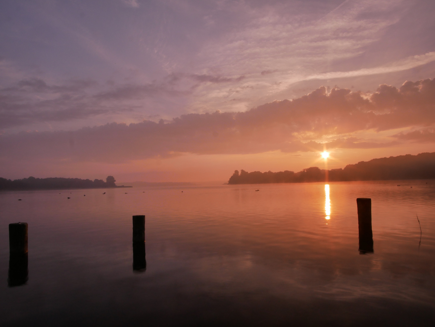 Morgens am Westensee II