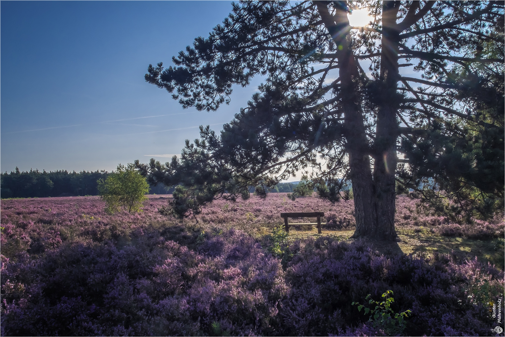 Morgens am Wietzer Berg