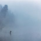 Morgens am Yellowstone River