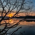 Morgens am Zermützelsee