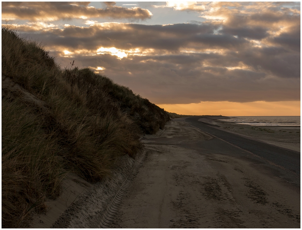 Morgens an den Dünen