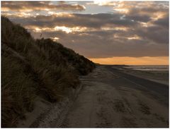 Morgens an den Dünen