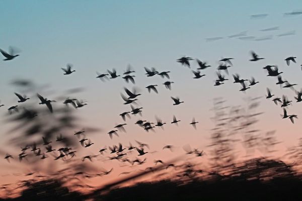 Morgens an den Teichen