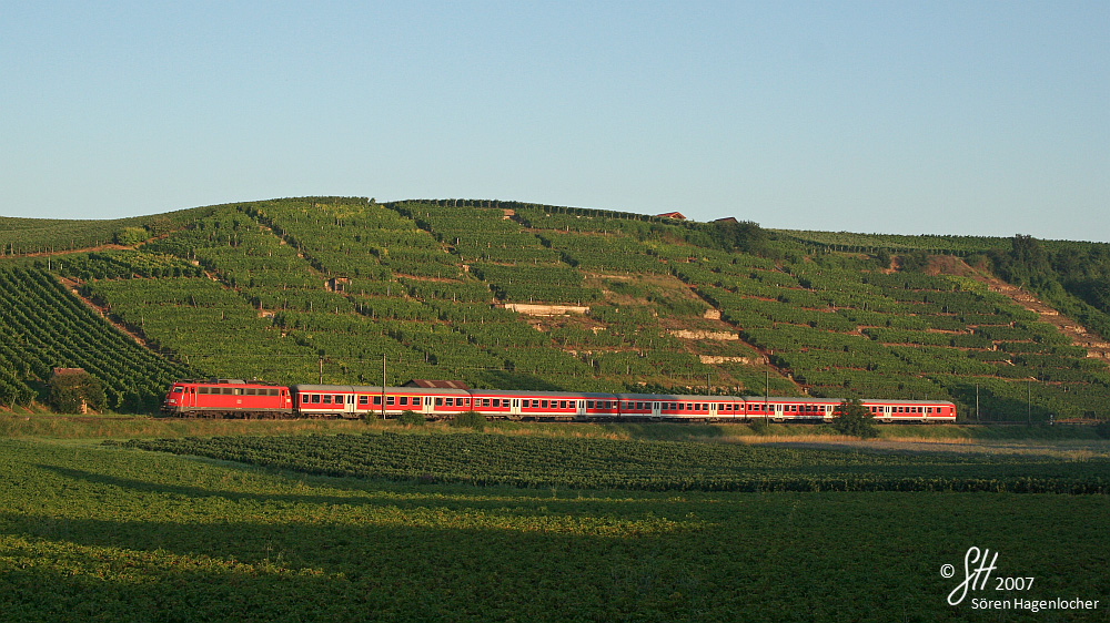 Morgens an den Weinbergen