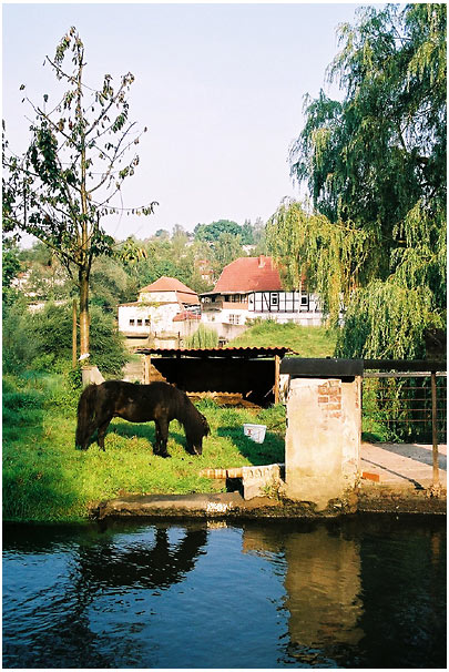 Morgens an der alten Mühle