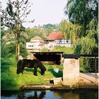 Morgens an der alten Mühle