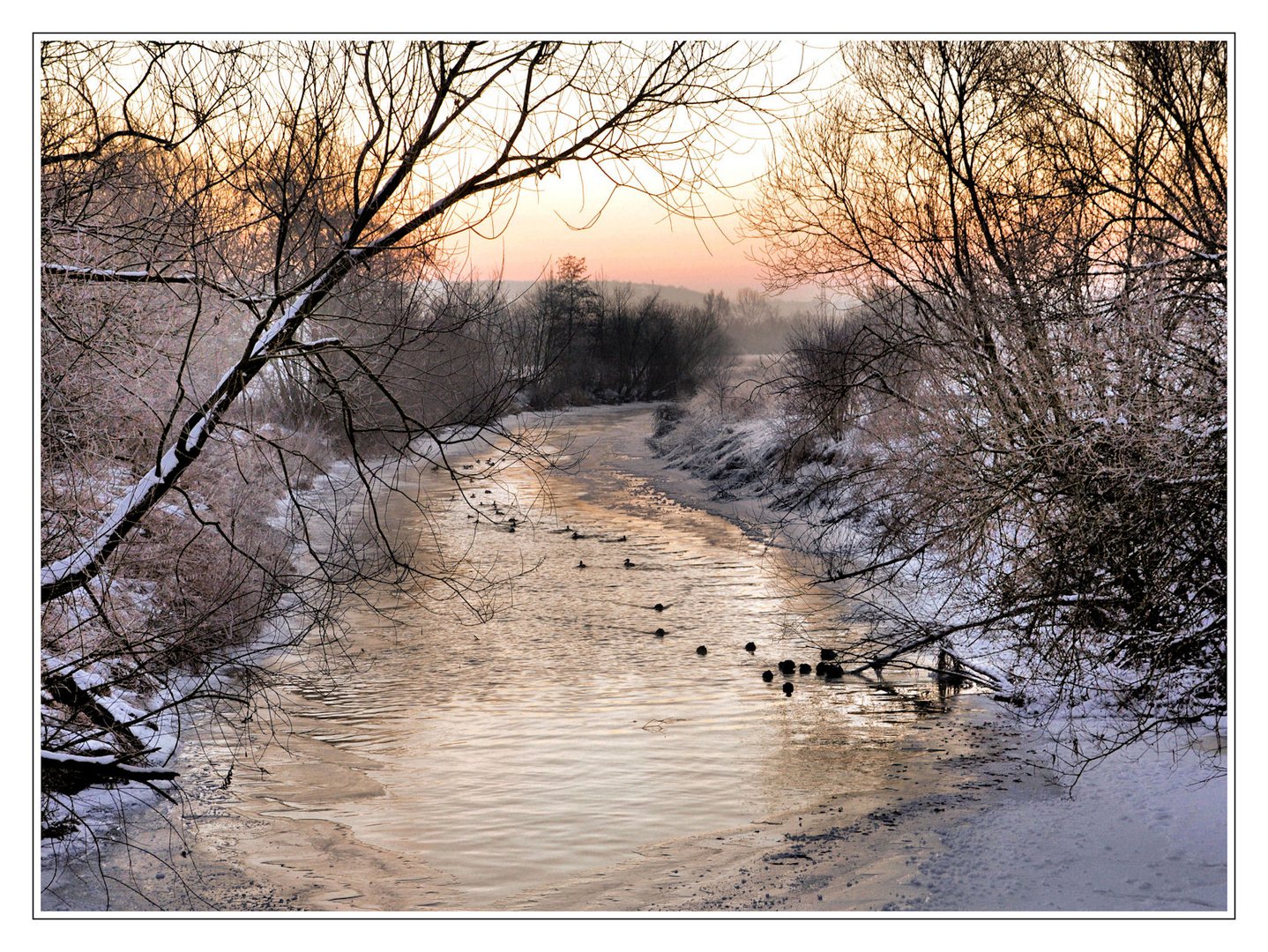 morgens an der Altmühl