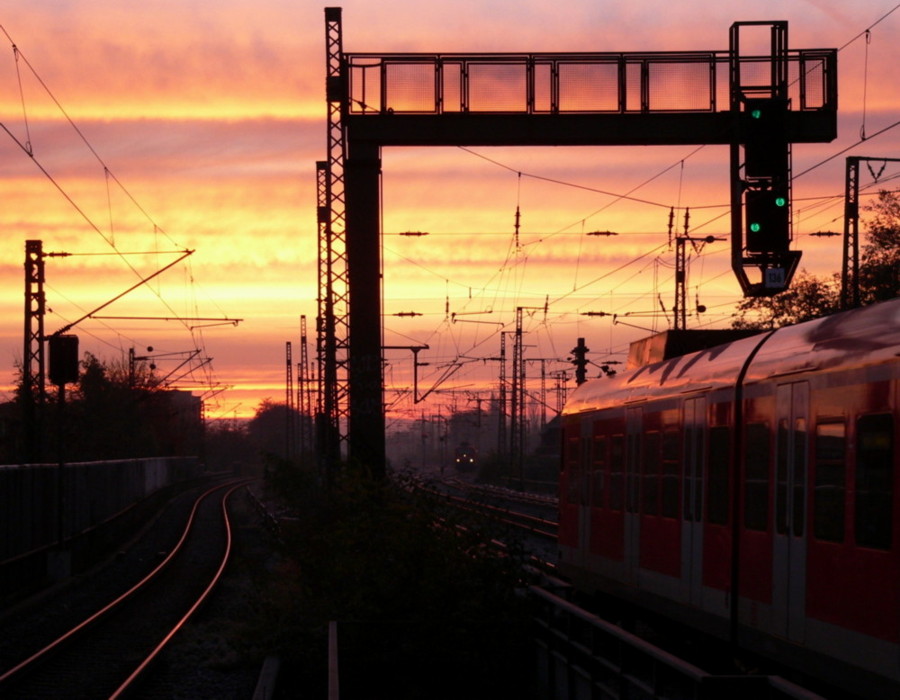 Morgens an der bekannten Haltestelle...