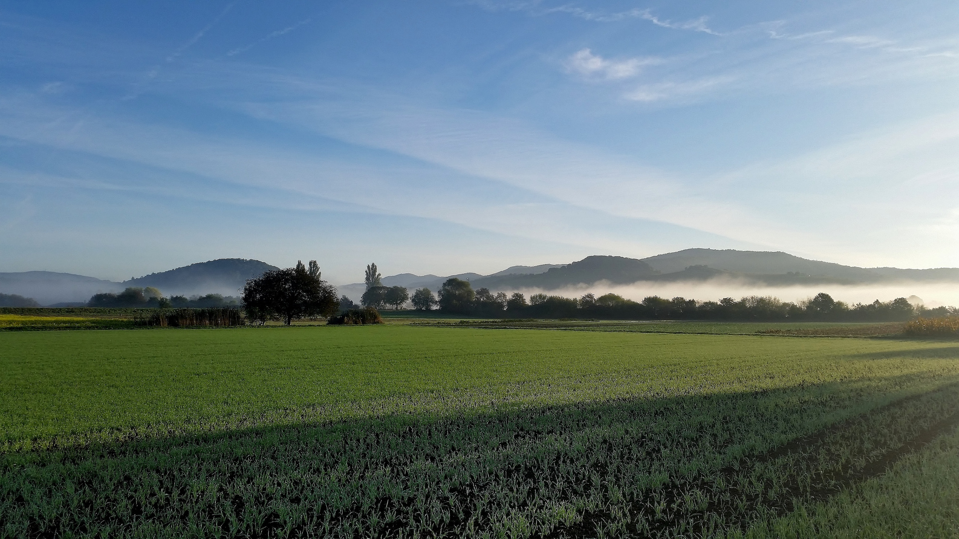 Morgens an der Bergstraße