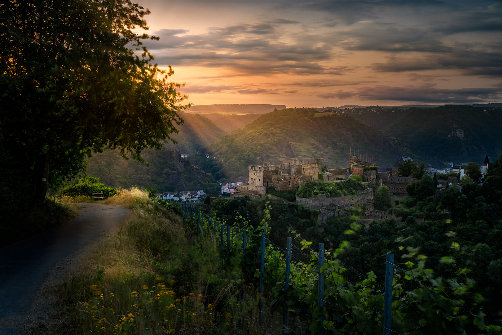 Morgens an der Burg Rheinfels