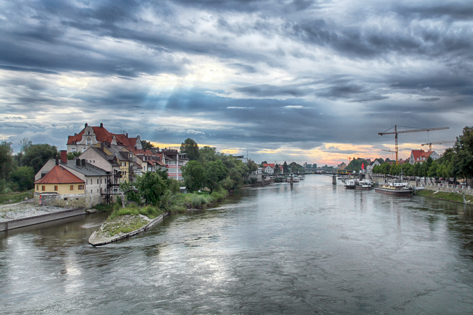 Morgens an der Donau