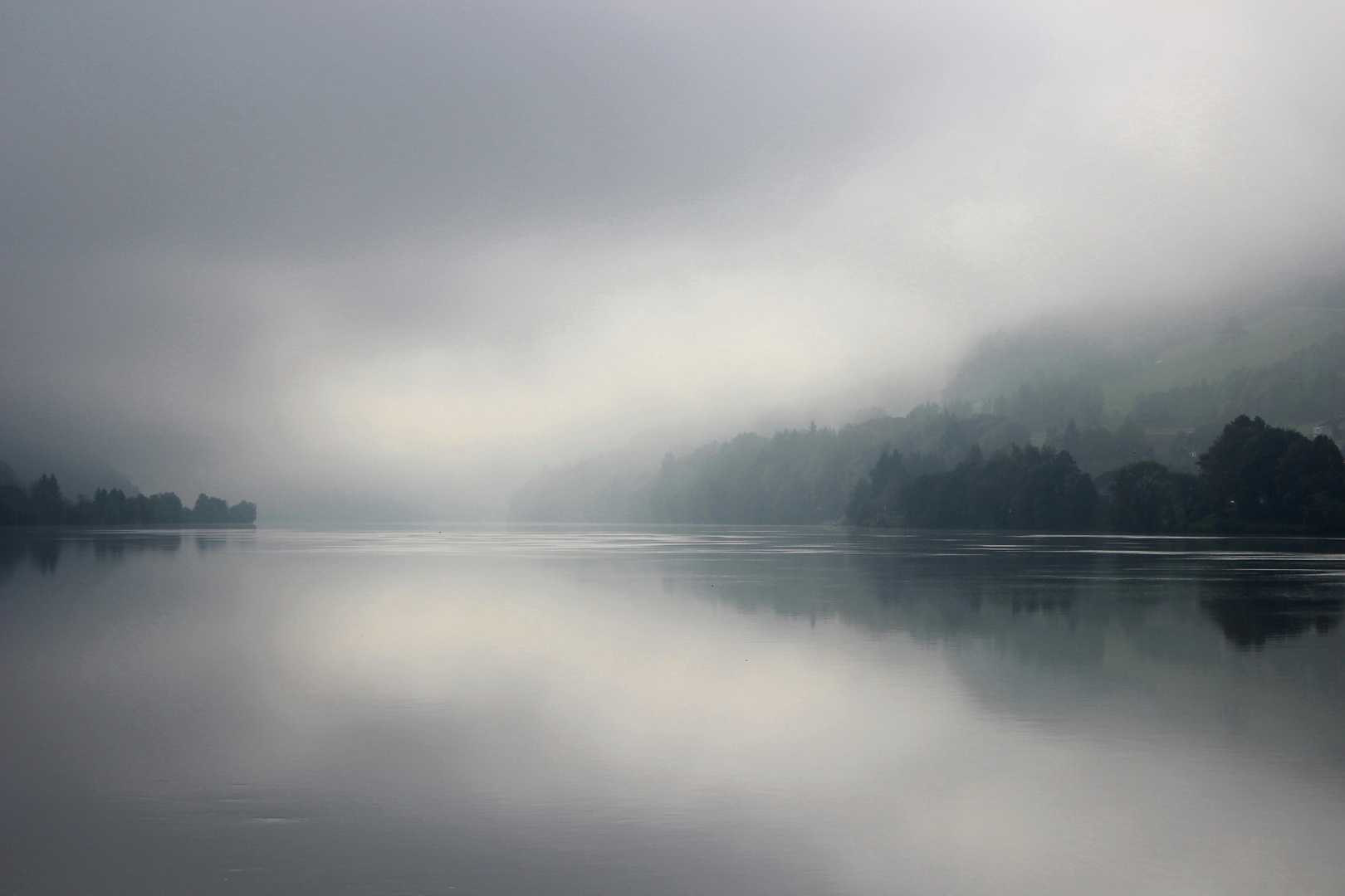 Morgens an der Donau