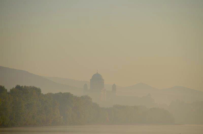 Morgens an der Donau