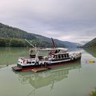 Morgens an der Donau, Niederranna Oberösterreich