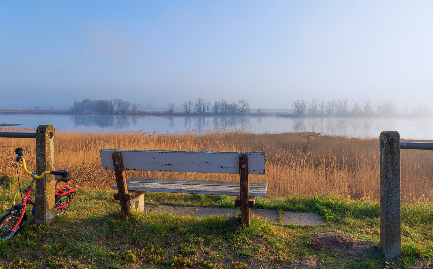 Morgens an der Elbe