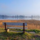 Morgens an der Elbe