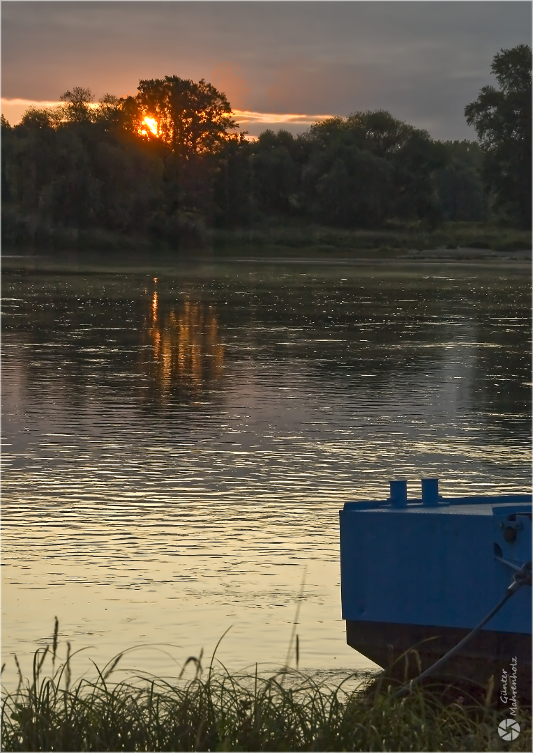 Morgens an der Elbe