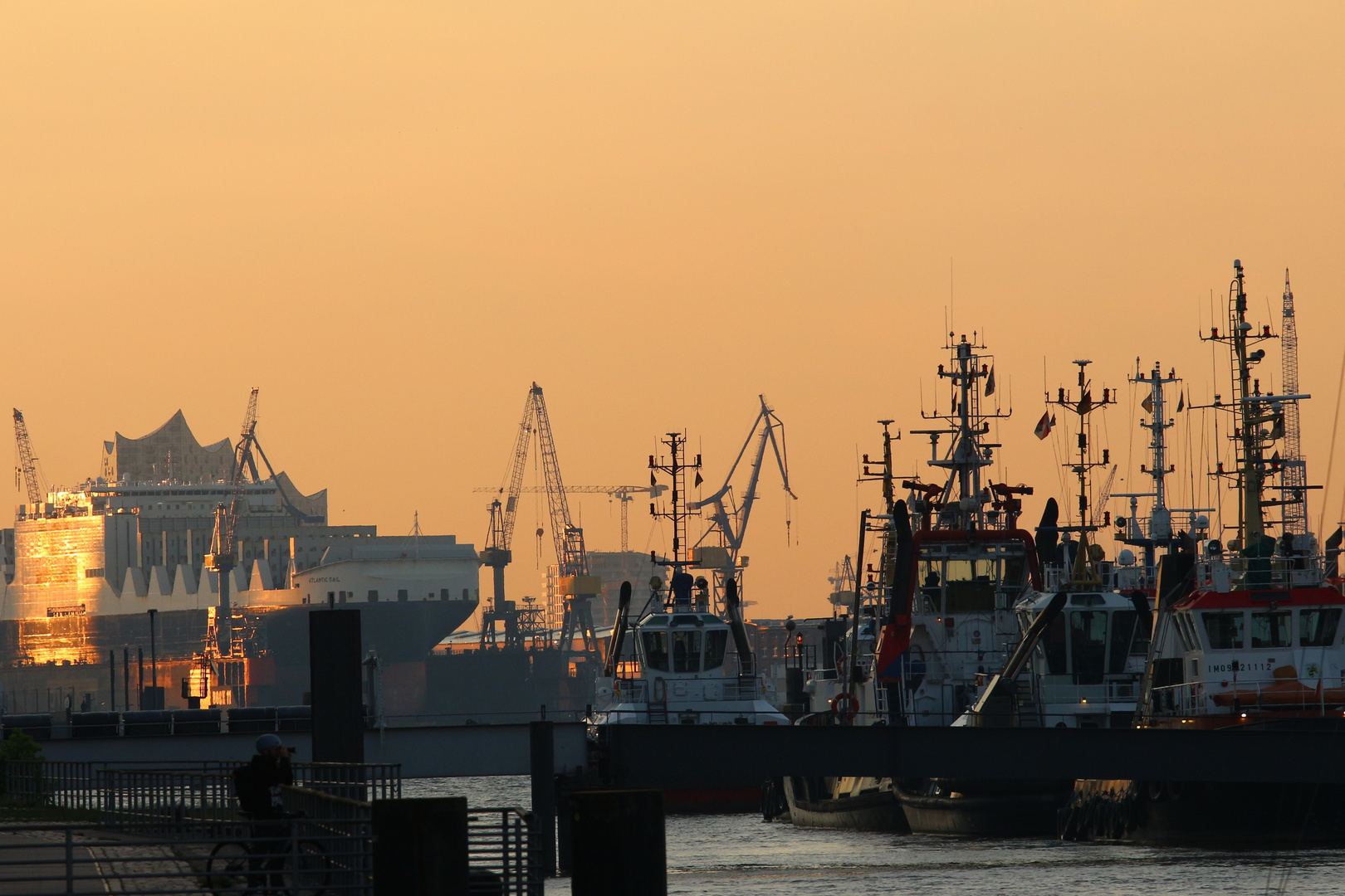 Morgens an der Elbe