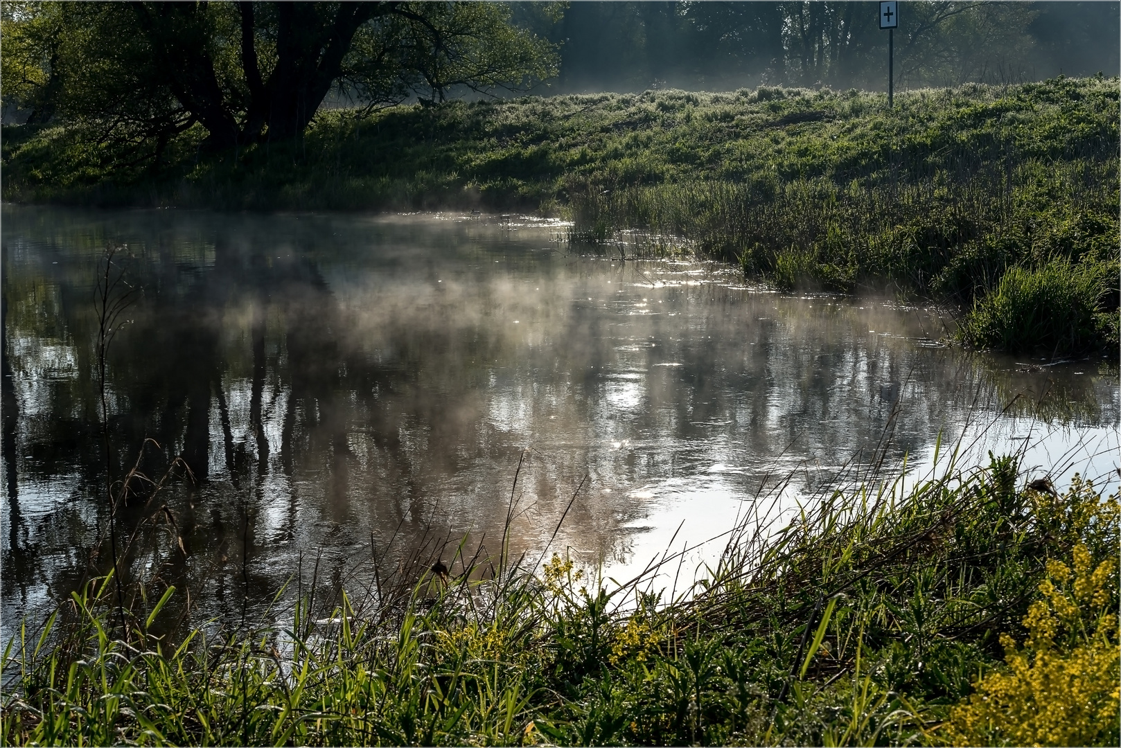 Morgens an der Elbe