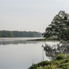 Morgens an der Elbe