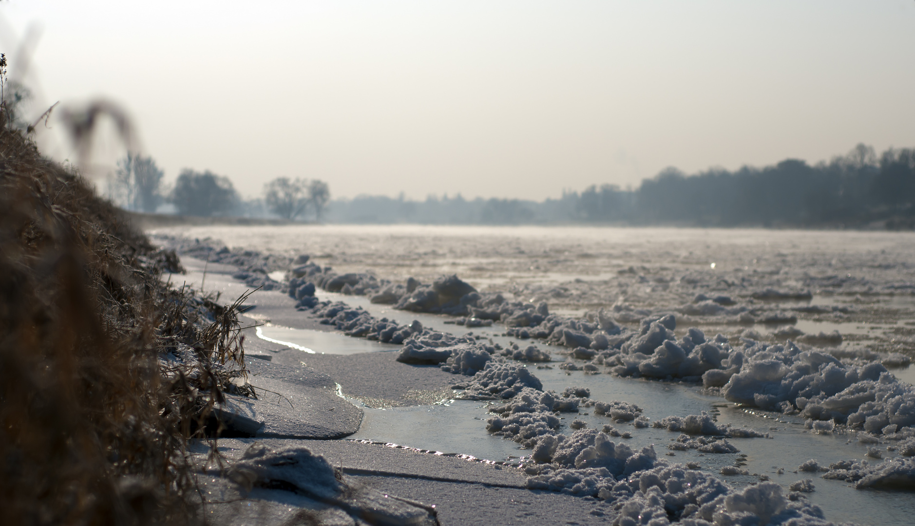 Morgens an der Elbe