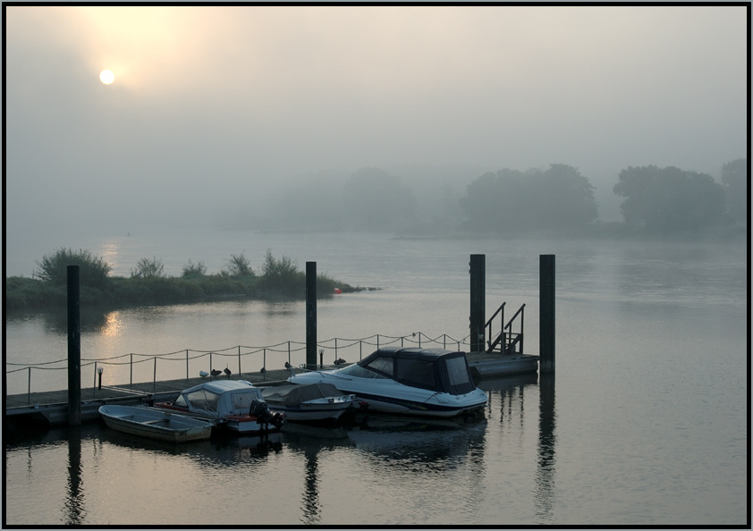 Morgens an der Elbe