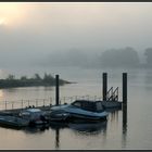 Morgens an der Elbe