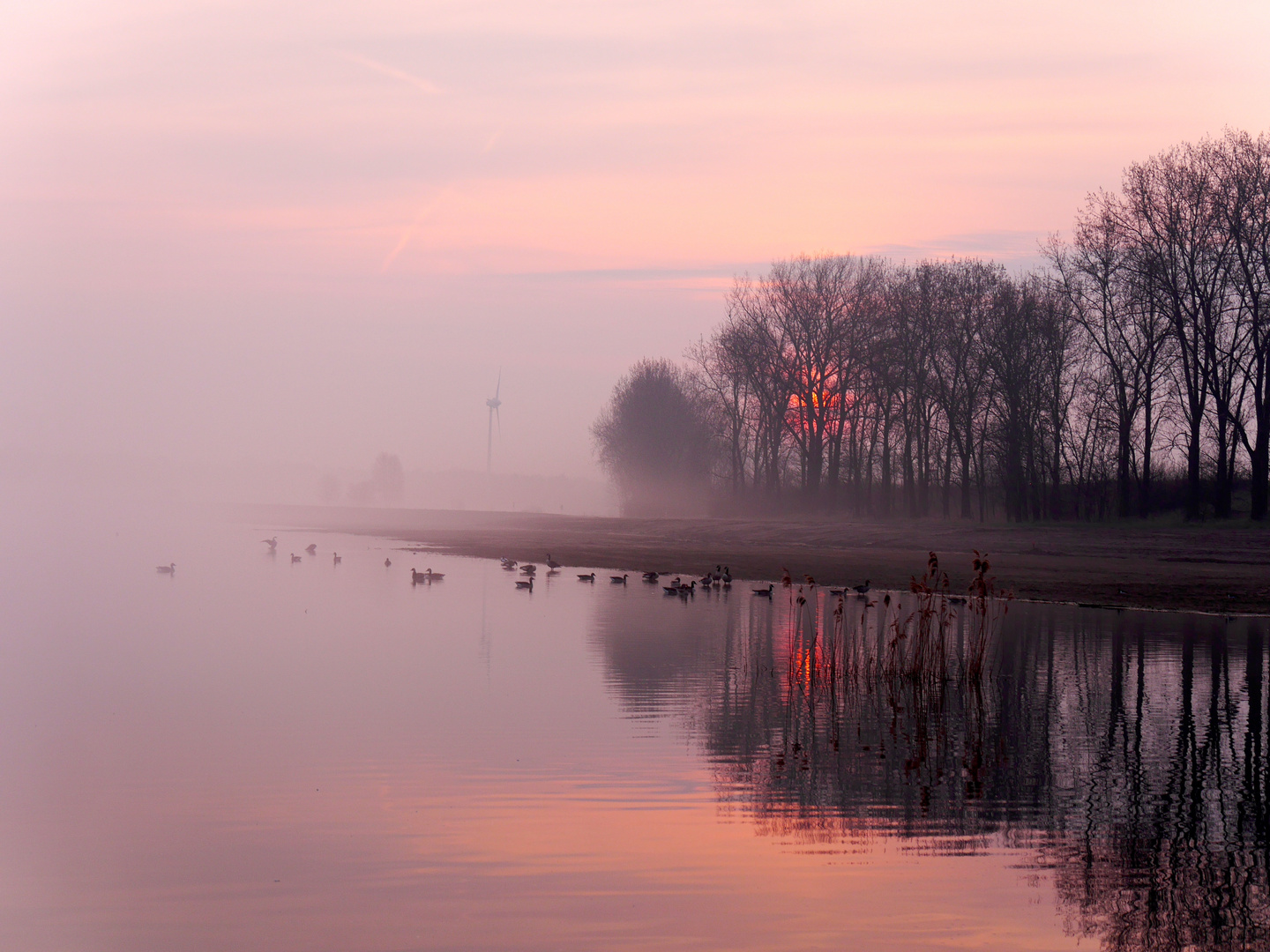 morgens an  der Elbe 