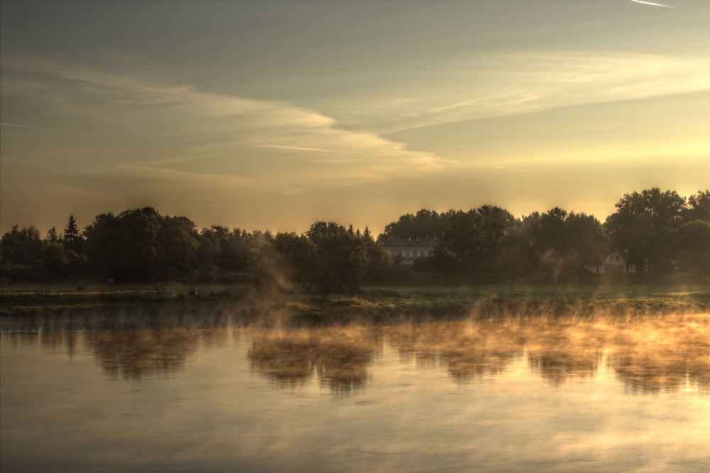 Morgens an der Elbe