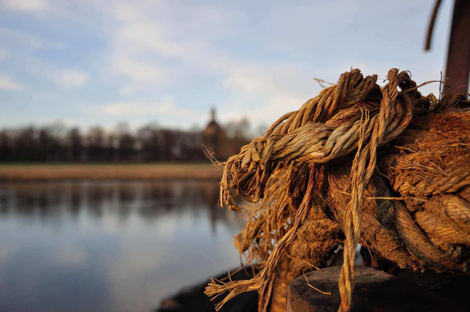 Morgens an der Elbe