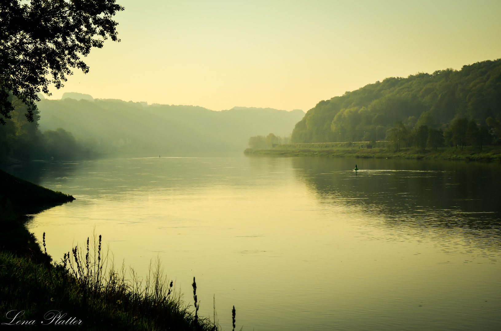 Morgens an der Elbe bei Pirna