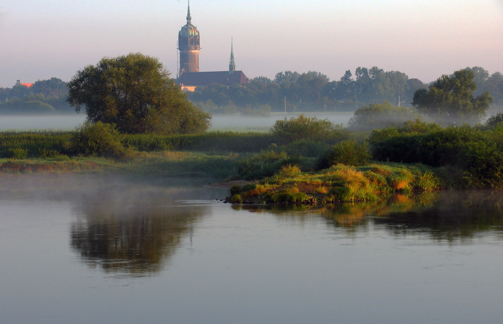 Morgens an der Elbe bei Wittenberg