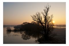 ... morgens an der Elbe