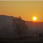 Morgens an der Elbe…,