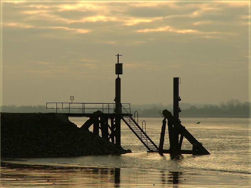 Morgens an der Elbe