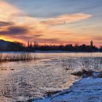 Morgens an der Elbe