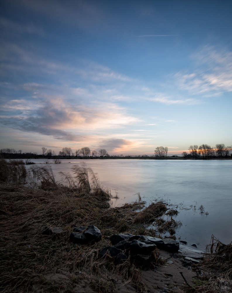 Morgens an der Elbe III