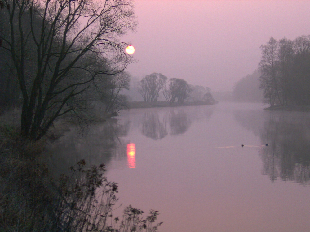 Morgens an der Fulda bei Wilhelmshausen